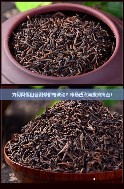 为何阿佤山普洱茶价格波动？市场热点与投资痛点！