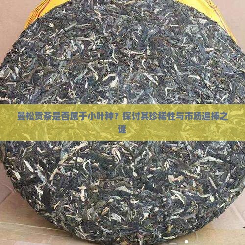 曼松贡茶是否属于小叶种？探讨其珍稀性与市场追捧之谜
