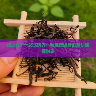 线上线下一站式购齐：精选普通普洱茶饼推荐指南