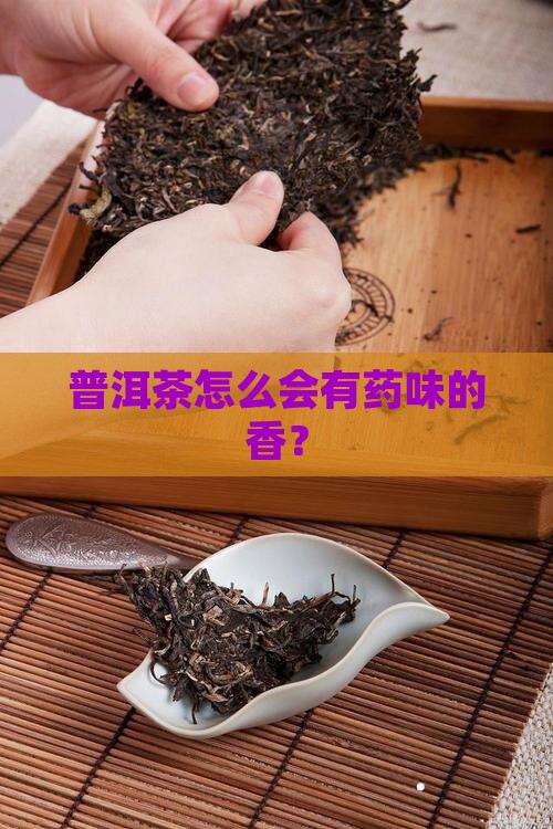 普洱茶怎么会有药味的香？