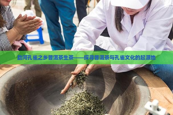 勐河孔雀之乡普洱茶生茶——探寻普洱茶与孔雀文化的起源地