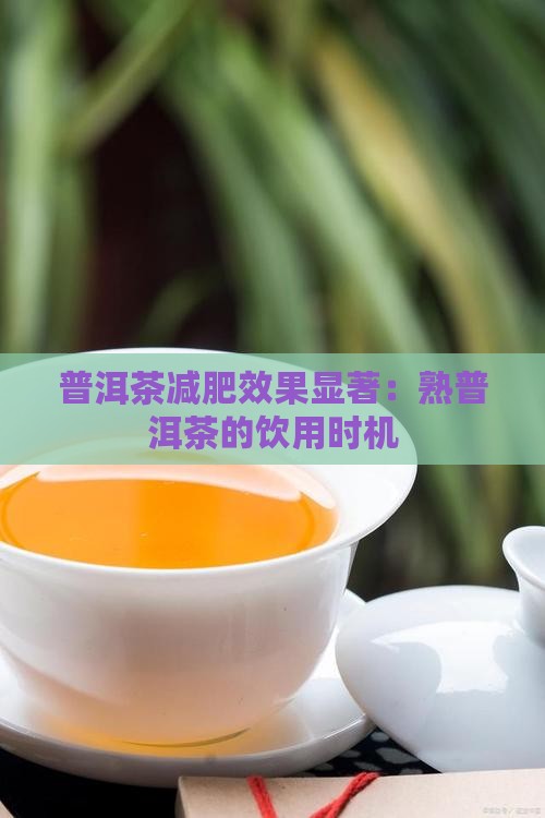 普洱茶减肥效果显著：熟普洱茶的饮用时机