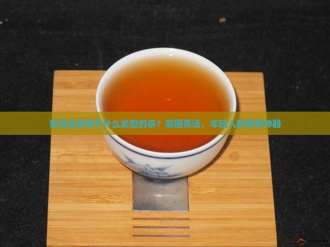 普洱生茶属于什么类型的茶？茶圈黑话，年轻人的熬夜神器