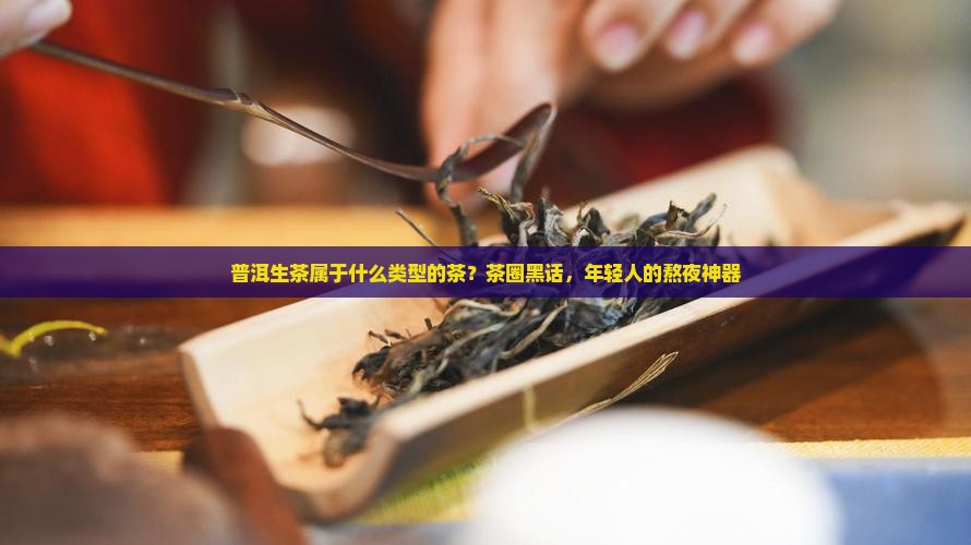 普洱生茶属于什么类型的茶？茶圈黑话，年轻人的熬夜神器
