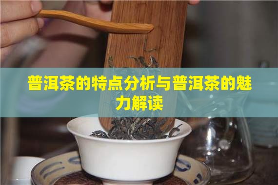 普洱茶的特点分析与普洱茶的魅力解读