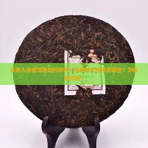 云南人参普洱茶如何制作？其功效与作用有哪些？为何受欢迎？