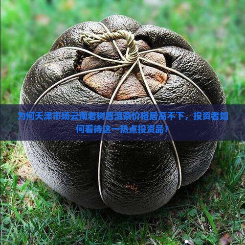 为何天津市场云南老树普洱茶价格居高不下，投资者如何看待这一热点投资品？