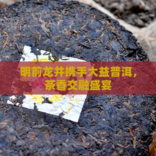 明前龙井携手大益普洱，茶香交融盛宴
