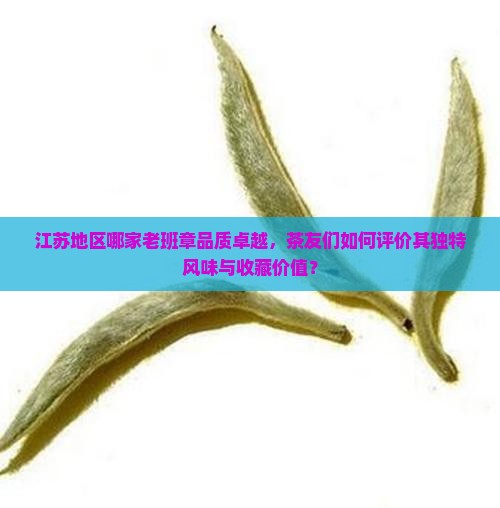 江苏地区哪家老班章品质卓越，茶友们如何评价其独特风味与收藏价值？