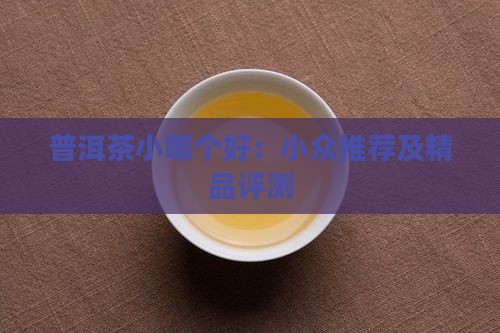 普洱茶小哪个好：小众推荐及精品评测