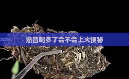 熟普喝多了会不会上火便秘