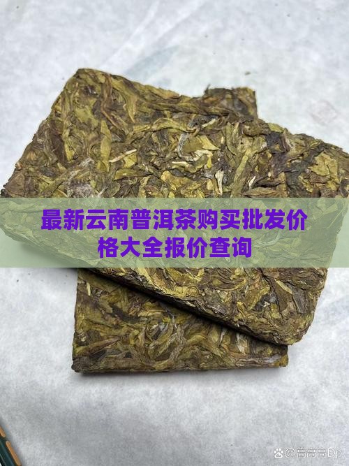 最新云南普洱茶购买批发价格大全报价查询