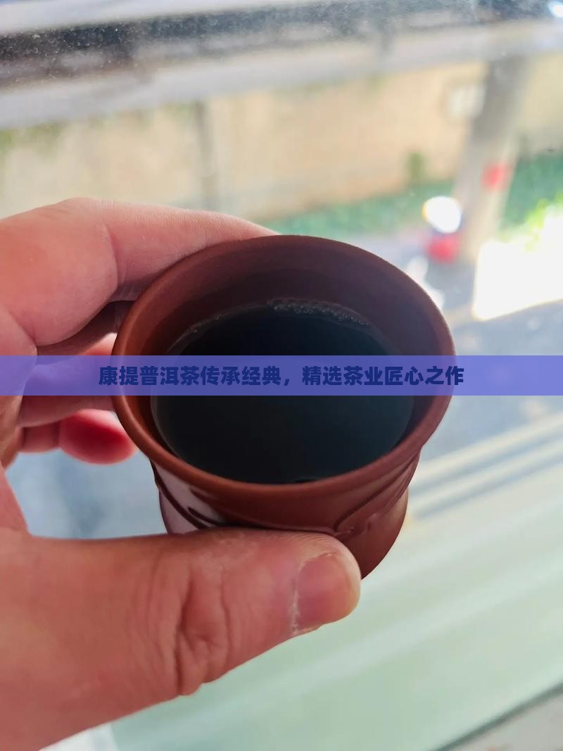 康提普洱茶传承经典，精选茶业匠心之作