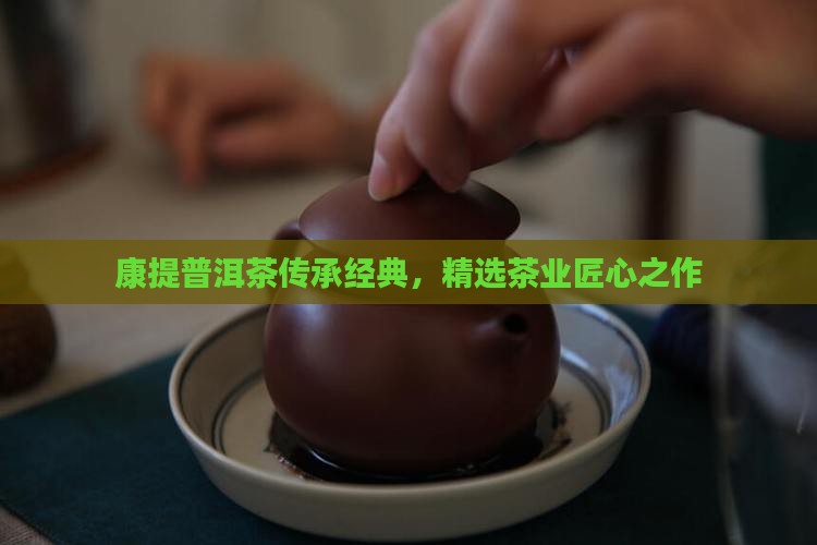 康提普洱茶传承经典，精选茶业匠心之作