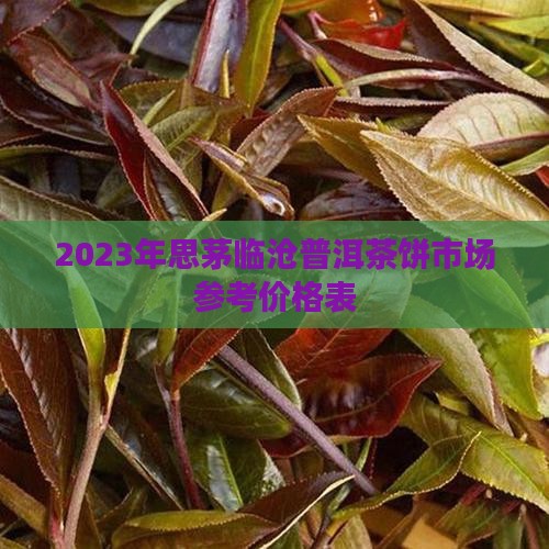 2023年思茅临沧普洱茶饼市场参考价格表