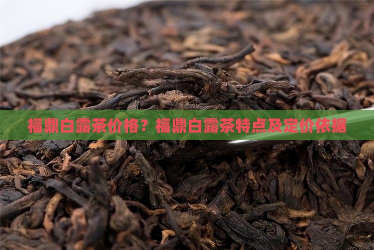 福鼎白露茶价格？福鼎白露茶特点及定价依据