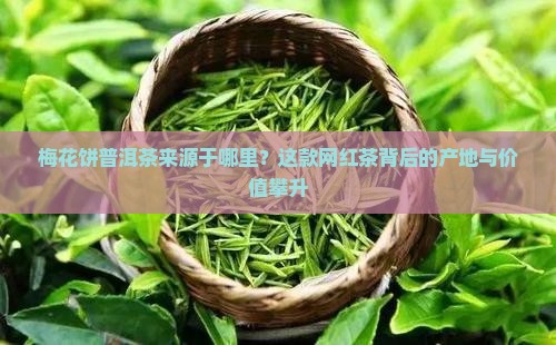 梅花饼普洱茶来源于哪里？这款网红茶背后的产地与价值攀升
