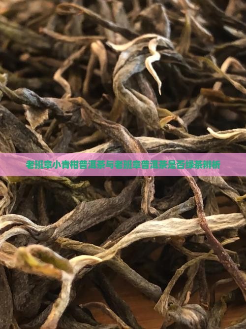 老班章小青柑普洱茶与老班章普洱茶是否绿茶辨析