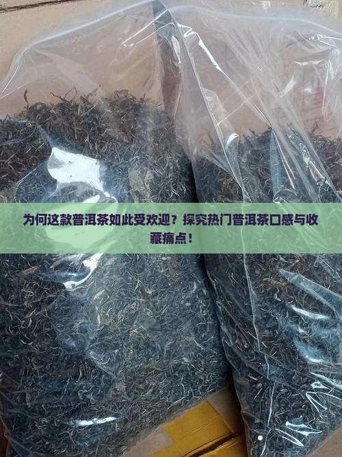 为何这款普洱茶如此受欢迎？探究热门普洱茶口感与收藏痛点！