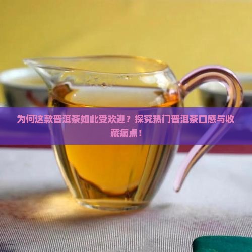 为何这款普洱茶如此受欢迎？探究热门普洱茶口感与收藏痛点！