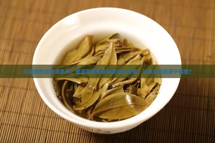 斗茶指的是普洱茶吗？普洱茶有哪些种类适合斗茶？斗茶文化起源于哪里？