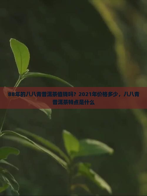 88年的八八青普洱茶值钱吗？2021年价格多少，八八青普洱茶特点是什么