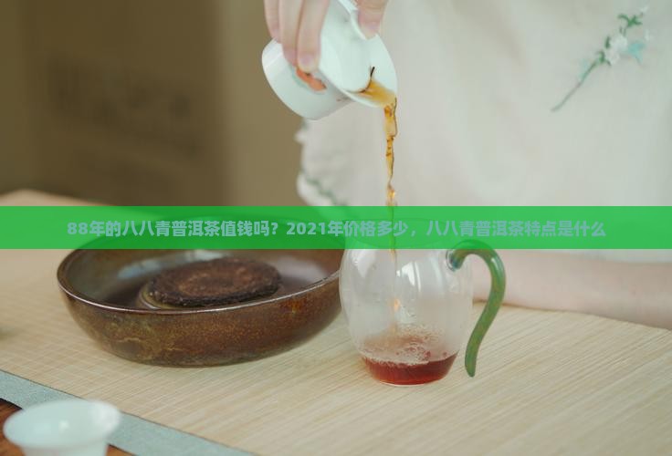88年的八八青普洱茶值钱吗？2021年价格多少，八八青普洱茶特点是什么