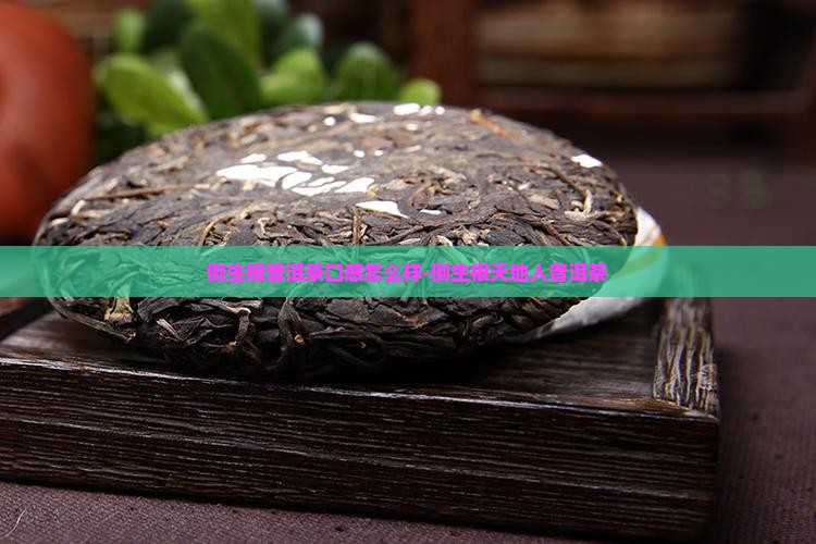 倒生根普洱茶口感怎么样-倒生根天地人普洱茶