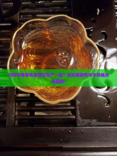 为何中茶有机普洱仅生产一批？探究稀缺性与市场痛点背后的！