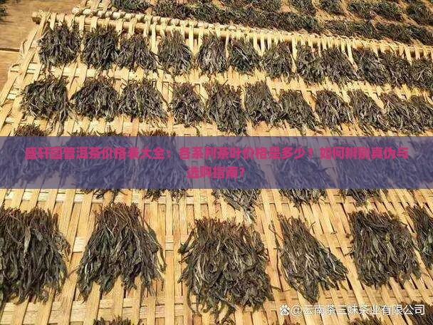 盛轩园普洱茶价格表大全：各系列茶叶价格是多少？如何辨别真伪与选购指南？