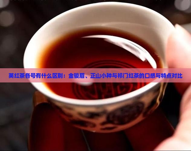 英红茶各号有什么区别：金骏眉、正山小种与祁门红茶的口感与特点对比