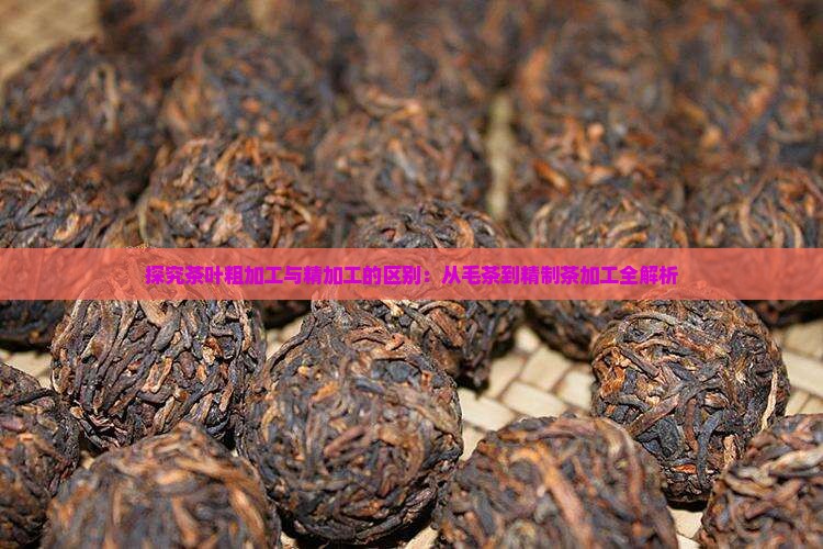 探究茶叶粗加工与精加工的区别：从毛茶到精制茶加工全解析