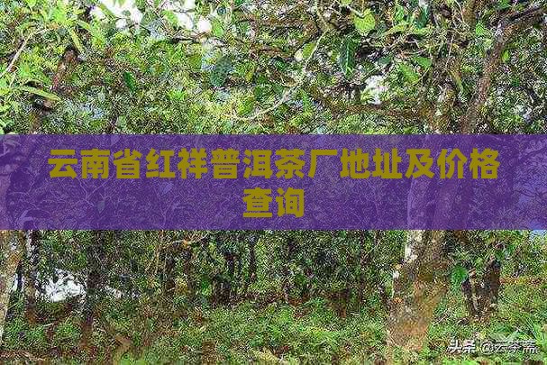 云南省红祥普洱茶厂地址及价格查询