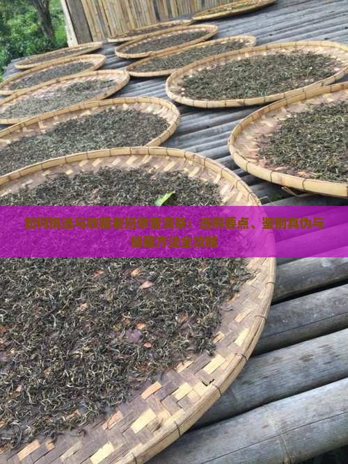 如何挑选与收藏老班章普洱茶：选购要点、鉴别真伪与储藏方法全攻略
