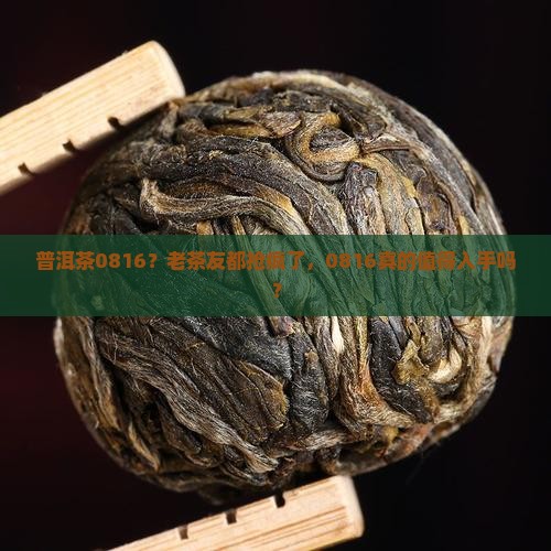 普洱茶0816？老茶友都抢疯了，0816真的值得入手吗？