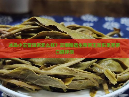 冰岛小王普洱茶怎么样？云南精选生茶茶王京东觅茗茶口感评测