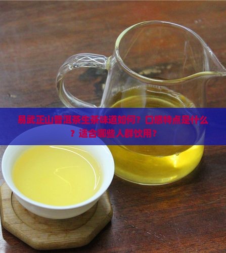 易武正山普洱茶生茶味道如何？口感特点是什么？适合哪些人群饮用？