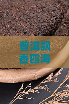 普洱飘香四海·一河润泽云南茶韵