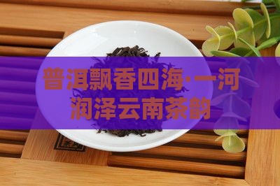 普洱飘香四海·一河润泽云南茶韵