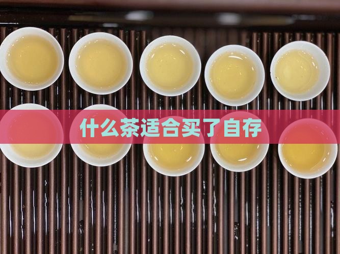 什么茶适合买了自存