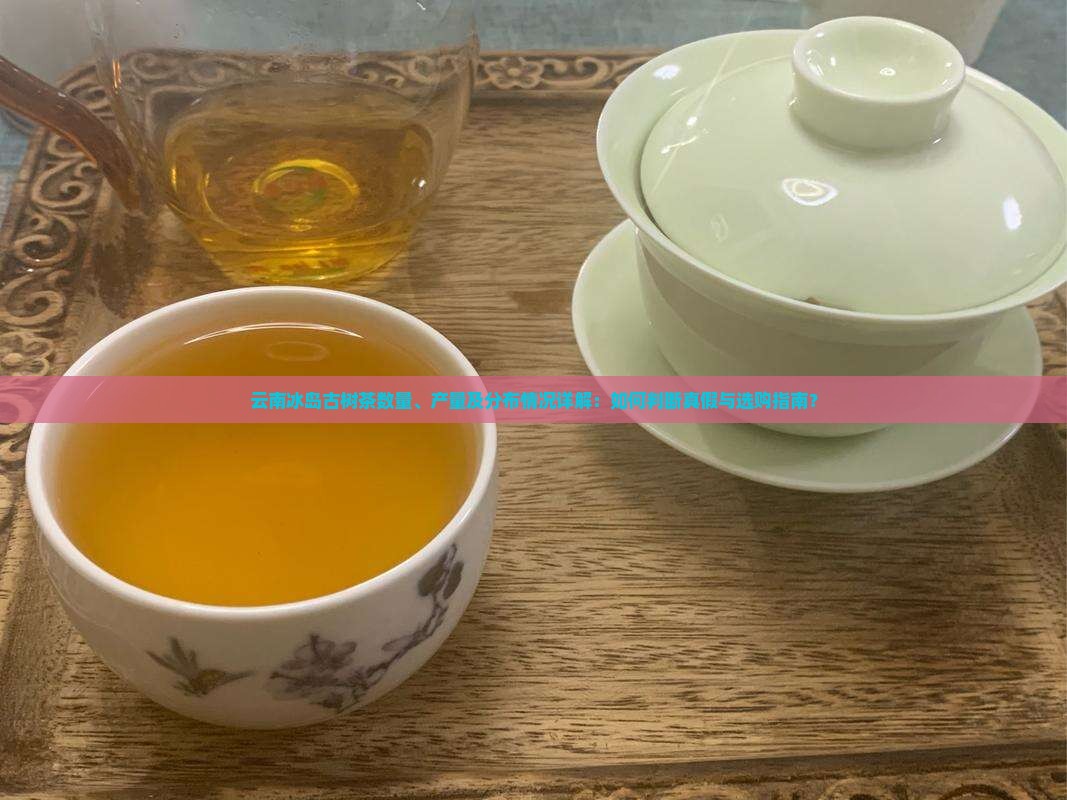 云南冰岛古树茶数量、产量及分布情况详解：如何判断真假与选购指南？
