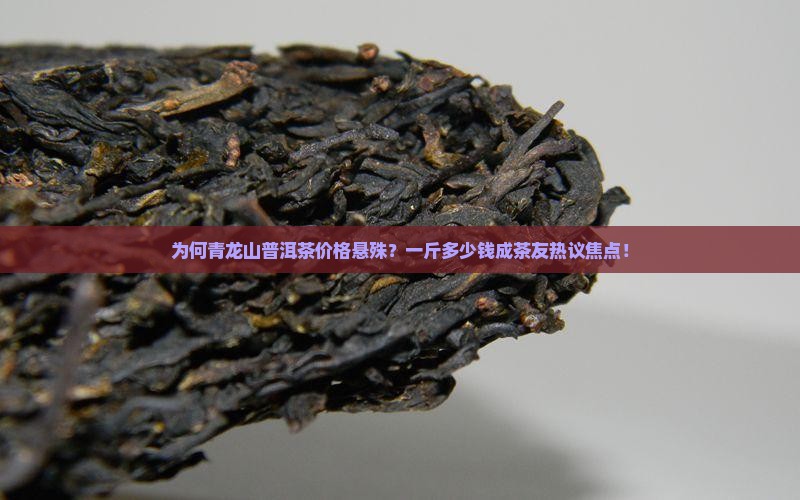 为何青龙山普洱茶价格悬殊？一斤多少钱成茶友热议焦点！