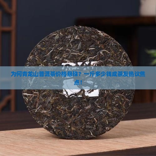 为何青龙山普洱茶价格悬殊？一斤多少钱成茶友热议焦点！