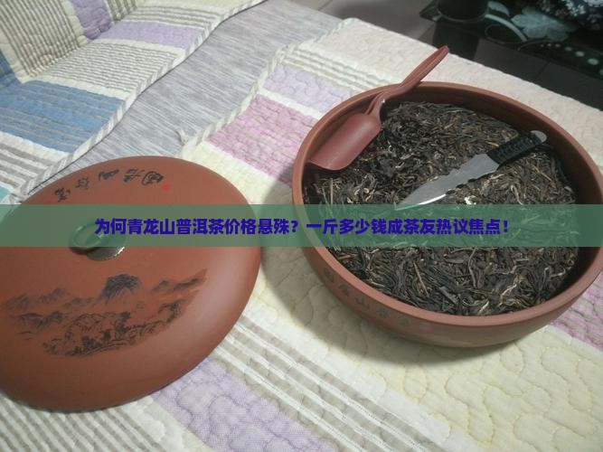 为何青龙山普洱茶价格悬殊？一斤多少钱成茶友热议焦点！
