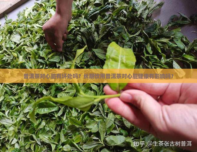 普洱茶对心脏有坏处吗？长期饮用普洱茶对心脏健康有影响吗？