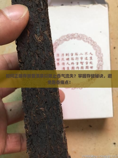 如何正确存放普洱茶以防止香气流失？掌握存储秘诀，避免跑香痛点！