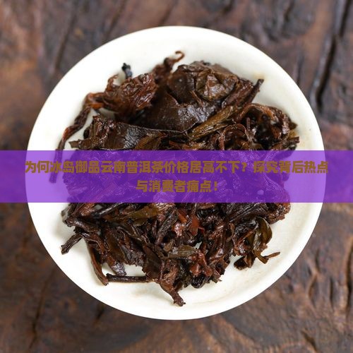 为何冰岛御品云南普洱茶价格居高不下？探究背后热点与消费者痛点！