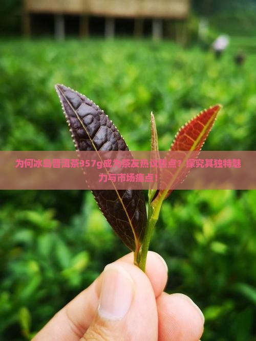 为何冰岛晋洱茶357g成为茶友热议焦点？探究其独特魅力与市场痛点！