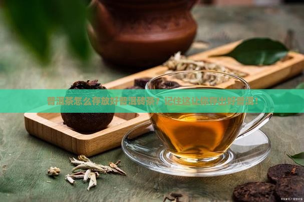 普洱茶怎么存放好普洱砖茶？记住这让你存出好普洱！