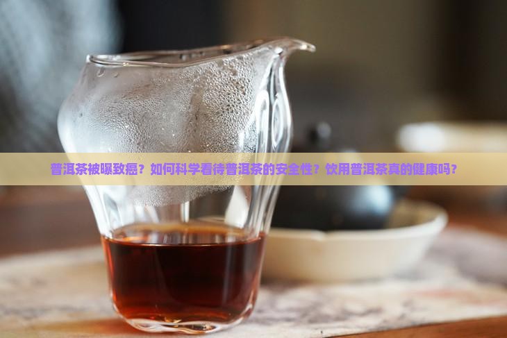 普洱茶被曝致癌？如何科学看待普洱茶的安全性？饮用普洱茶真的健康吗？